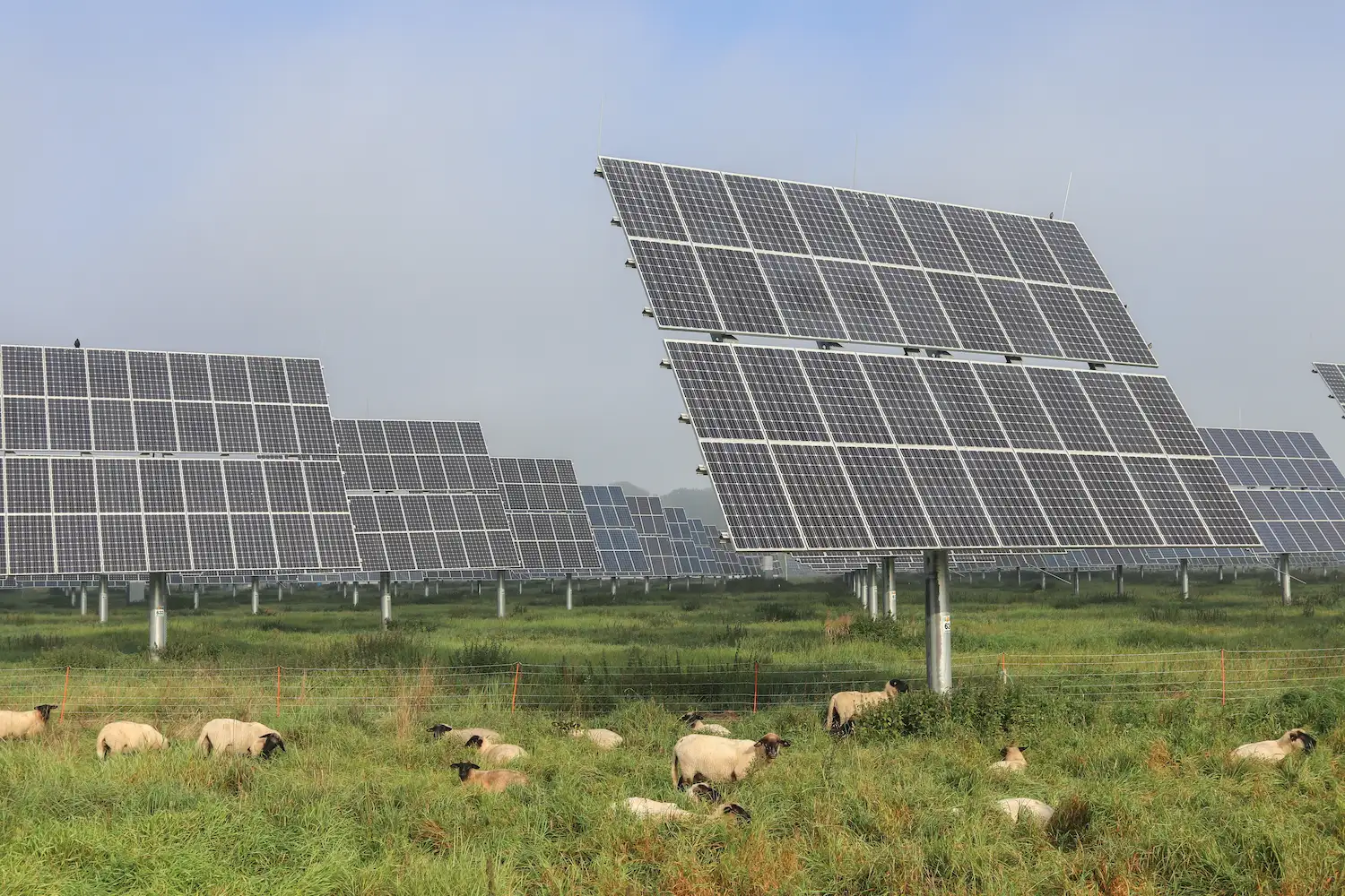 7 Curiosidades de la energia solar 2