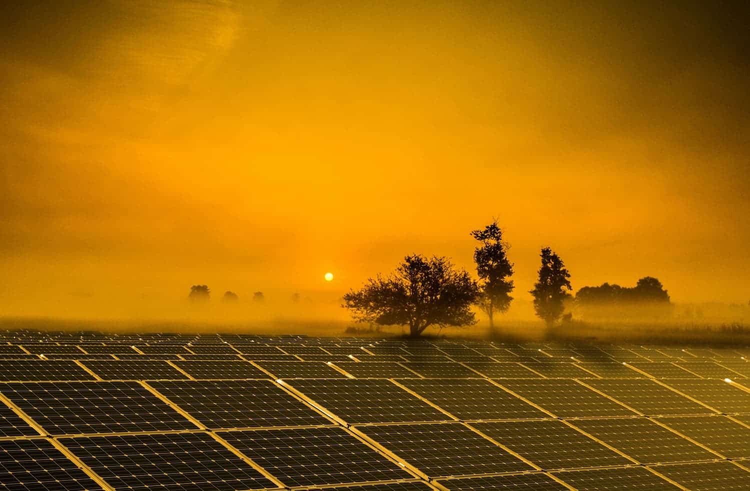 Autoconsumo solar para combatir la ola de calor 1 1