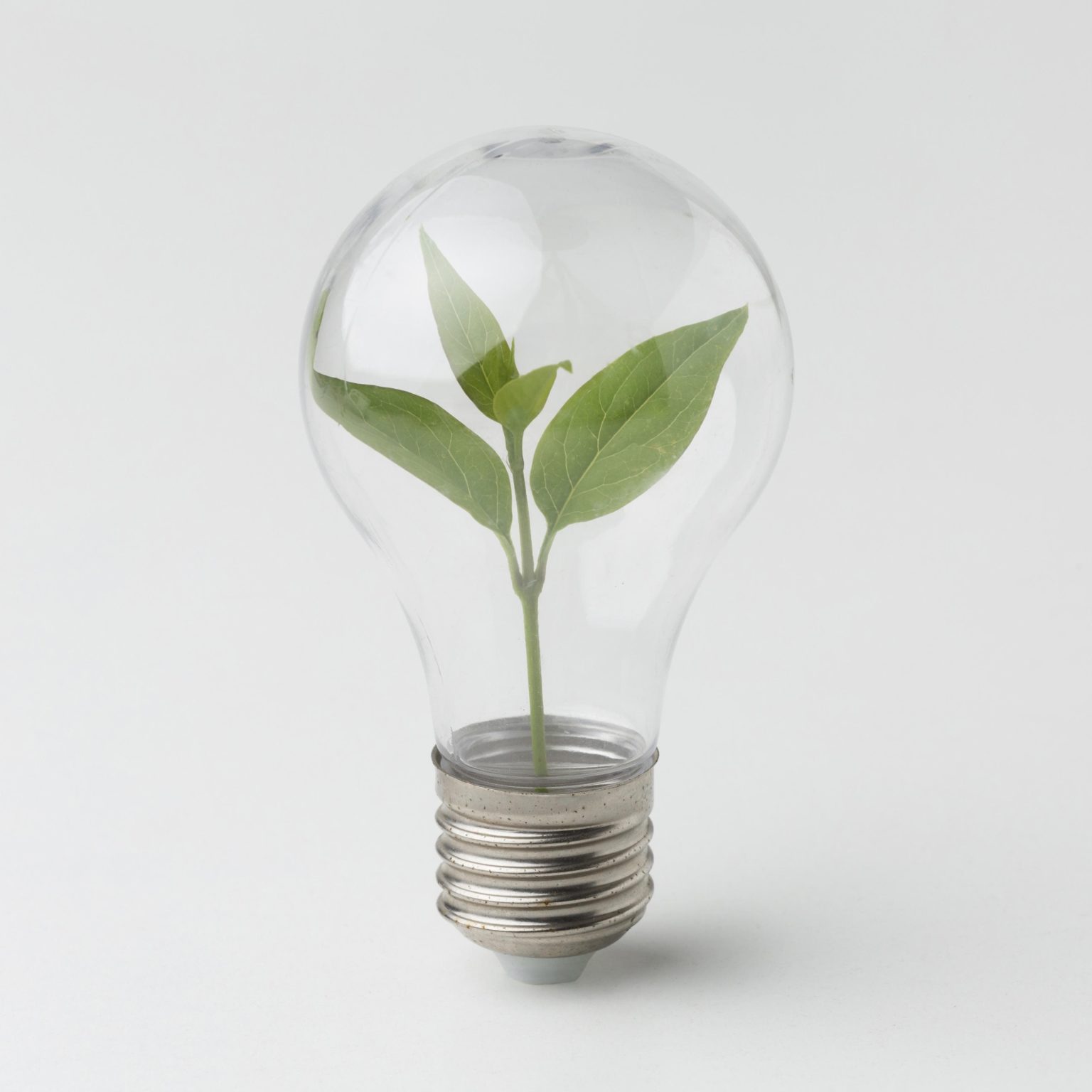 small plant inside light bulb 1 1536x1536 1 1